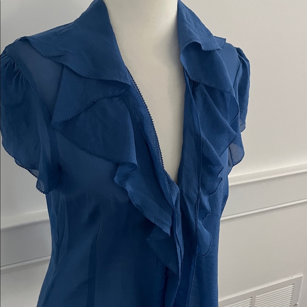 BCBGMaxAzria Silk Blue Ruffle Blouse - Picture 4 of 9